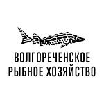 Волгореченское рыбное хозяйство